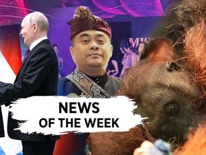 Video Terpopuler Sepekan: Orang Utan Mati gegara Karhutla-Prabowo ke Rusia