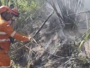 Hutan Gunung Sumbing Wilayah Temanggung Terbakar