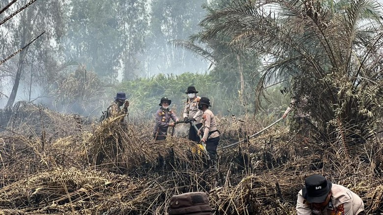 Malaysia Cabut Status Darurat Kabut Asap di Sarawak
