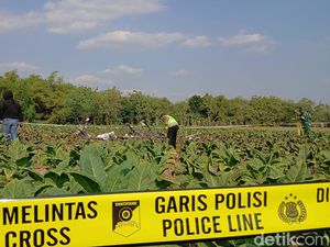 Puing Pesawat Capung Jatuh-Terbakar di Ladang Blora Belum Dievakuasi