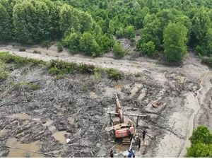 Polda Riau Tetapkan Tersangka Perambahan 111,17 Hektare Mangrove di Dumai