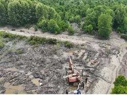 Polda Riau Tetapkan Tersangka Perambahan 111,17 Hektare Mangrove di Dumai