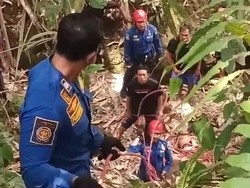 Lansia Tewas Terjatuh ke Jurang Sedalam 50 Meter di Pangsan Badung