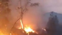 Giliran Gunung Cikuray yang Terbakar, 5 Hektare Lahan Ludes