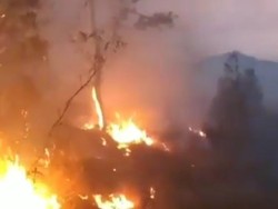 Giliran Gunung Cikuray yang Terbakar, 5 Hektare Lahan Ludes
