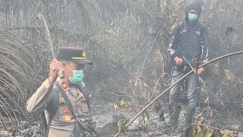 2 Hektare Lahan di Tungkal Jaya Muba Terbakar