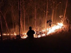 Kebakaran di Bukit Sawangan Ajibarang Banyumas. 1 Hektare Jati Dilalap Api