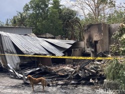 Kafe dan Cottage Hangus Terbakar di Nusa Penida, Kerugian Rp 3 Miliar