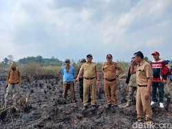 2 Hari Membara, Karhutla Betapus Samarinda Nyaris Capai Permukiman Warga