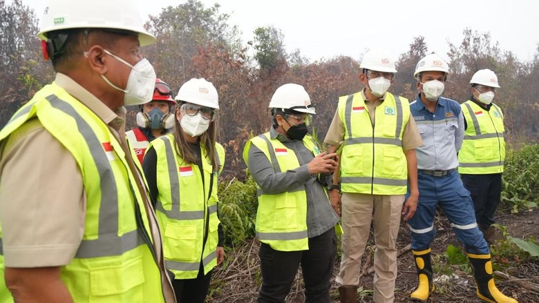 Inalum Terjunkan Tim Tangani Karhutla di Mempawah