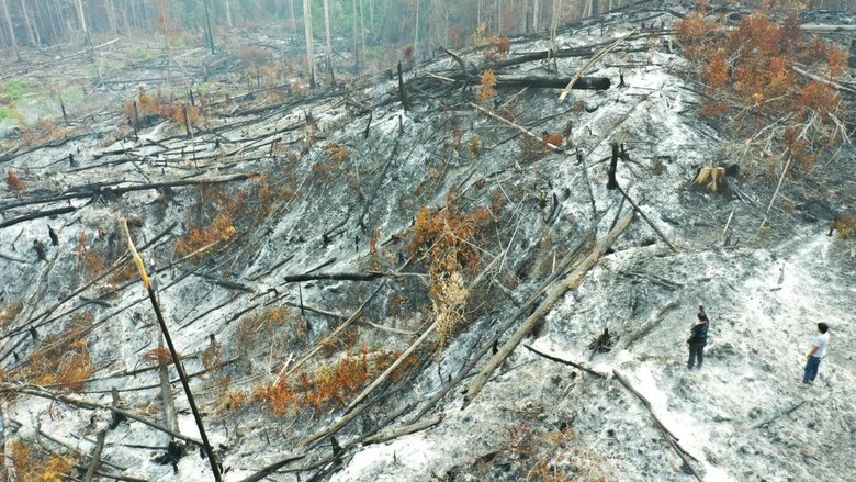 Polda Kaltara Panggil Perusahaan di Lokasi Terdampak Karhutla di Bulungan