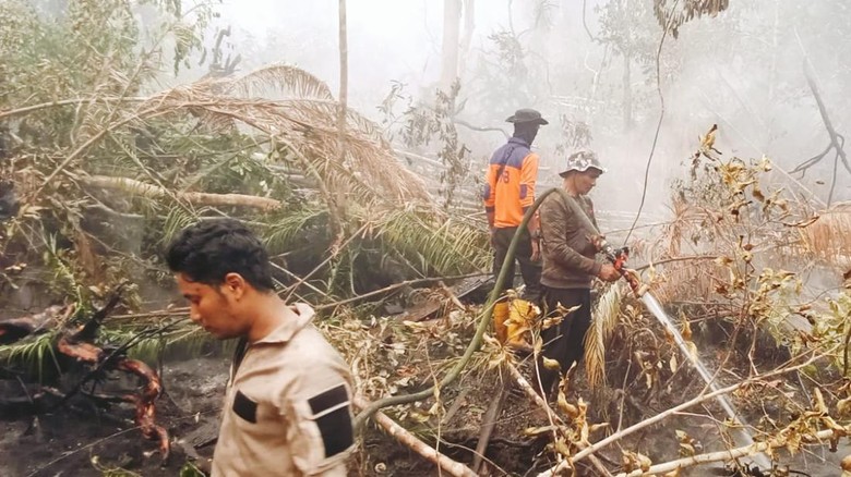 Kebakaran Lahan di Lingga Meluas Jadi 32 Hektare, Api Masuk Kebun Sagu