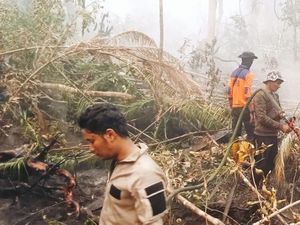Kebakaran Lahan di Lingga Meluas Jadi 32 Hektare, Api Masuk Kebun Sagu