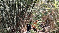 Dilaporkan Hilang di Kebun, Lansia Jembrana Ditemukan Linglung di Sungai