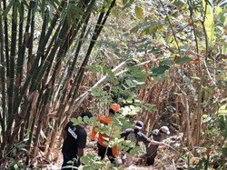 Dilaporkan Hilang di Kebun, Lansia Jembrana Ditemukan Linglung di Sungai