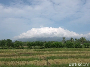 Video Update Kondisi Gunung Semeru Hari Ini: Erupsi Masih Terjadi