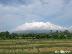Video Update Kondisi Gunung Semeru Hari Ini: Erupsi Masih Terjadi