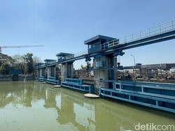 Kondisi Terkini Sungai Rolak-Kalimas Surabaya Usai Berbusa dan Ikan Mabuk