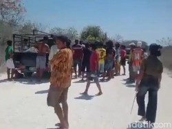Viral Warga Tangkap Polisi Diduga Curi Sapi di Sumba Timur