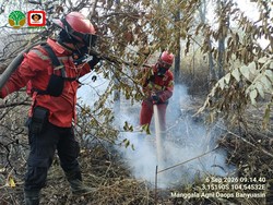 Kebun Raya Sriwijaya Terbakar 4 Hari, Upaya Pemadaman Dilanjutkan