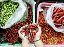 Pasokan Berkurang karena Karhutla, Cabai di Palangka Raya Tembus Rp 150 Ribu/Kg