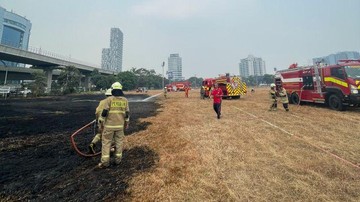 Kebakaran Lahan Lapangan Sepak Bola di Pancoran Diduga Akibat Puntung Rokok