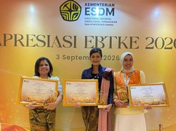 Investasi Energi Bersih RI Naik-Turun, ESDM Ungkap Apa yang Terjadi