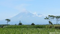 Video: Gunung Semeru 25 Kali Erupsi dalam 24 Jam, Status Siaga