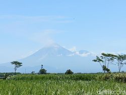 Gunung Semeru 25 Kali Erupsi dalam 24 Jam