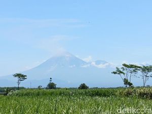 Video: Gunung Semeru 25 Kali Erupsi dalam 24 Jam, Status Siaga