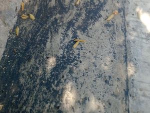 PGA Jelaskan Hujan Pasir Hitam Dampak Erupsi Ile Lewotolok