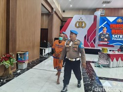 Polisi Gagalkan Pengiriman Benur Rp 4,6 M ke Singapura via Juanda