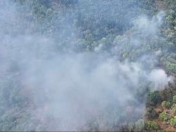 Asap Pekat Selimuti Gunung Ciremai Akibat Karhutla di Pasawahan