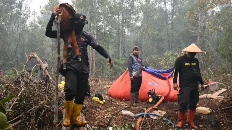 Karhutla di Palangka Raya, Petugas Cegah Api Masuk Taman Nasional