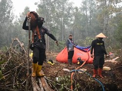 Karhutla di Palangka Raya, Petugas Cegah Api Masuk Taman Nasional