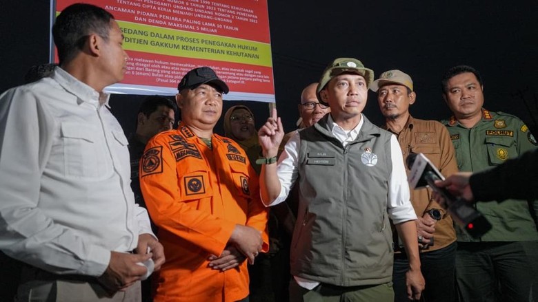 Baru Padam Ditanami Sawit, Menhut Segel Lokasi Karhutla di Ketapang