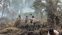 Polisi Usut Pembuka Lahan di Siak, 2 Alat Berat Disita dari Lokasi Karhutla