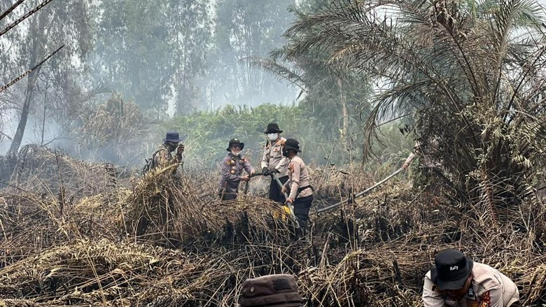 Polisi Usut Pembuka Lahan di Siak, 2 Alat Berat Disita dari Lokasi Karhutla