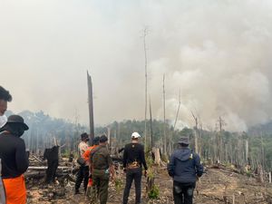 Viral Dugaan Sawit Ditanam di Lokasi Bekas Karhutla Berau, Polisi Turun Tangan