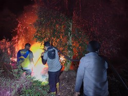 6 Malam Berjibaku di Gambut Meranti, Polisi Bertahan di Tengah Kepulan Asap