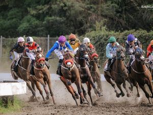 IHR 2026 Perluas Olahraga Pacuan Kuda Indonesia