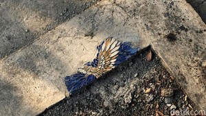 Kesal Lihat Jalan Berlubang, Perajin di Malang Sulapnya Jadi Karya Seni