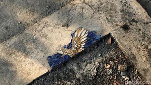 Kesal Lihat Jalan Berlubang, Perajin di Malang Sulapnya Jadi Karya Seni