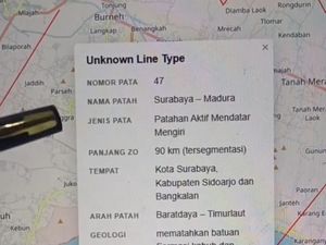 Penjelasan BMKG Soal Viral Patahan Aktif Surabaya Madura