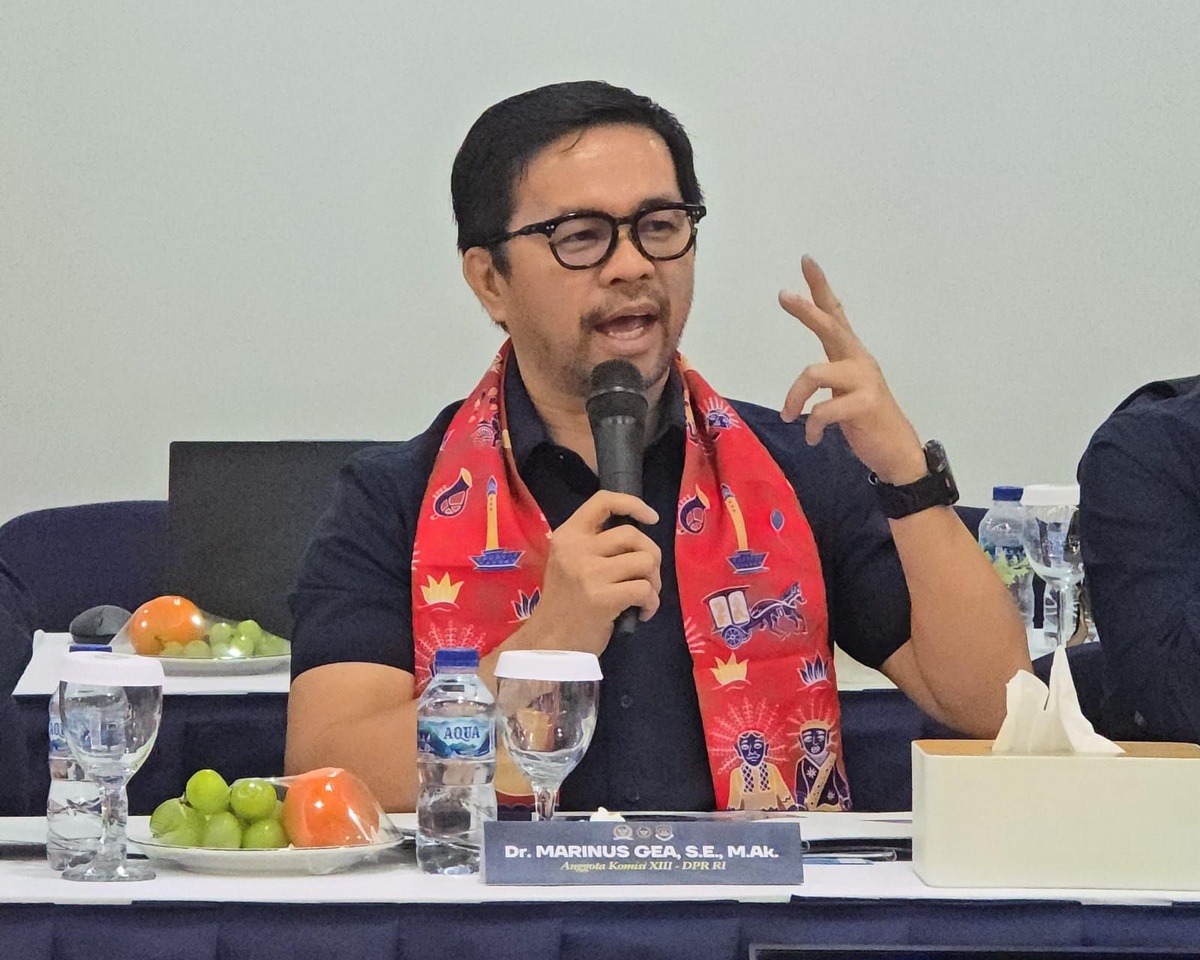 Sorotan Tajam Marinus Gea: Lemahnya Pengawasan Warga Asing dan Perlindungan WNI