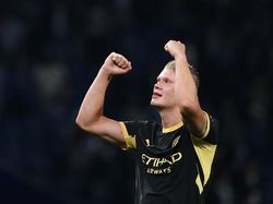 Henry Puji Haaland, Bawa-bawa Trezeguet dan Van Nistelrooy