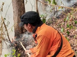 Kebakaran Gunung Ciremai: 40 Hektare Lahan Hangus Terbakar