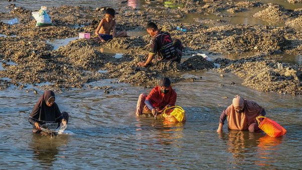Kemarau Bikin Sungai Surut, Warga Konawe Berburu Pokea