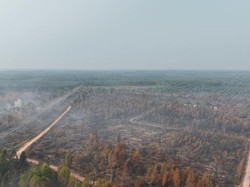 Karhutla di Kebun Raya Sriwijaya Padam, Manggala Agni Lakukan Pendinginan