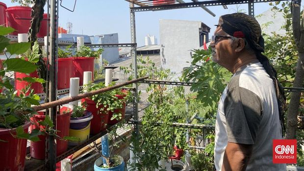Sutarno, pegiat lingkungan sekaligus warga Sunter Jaya, Jakarta Utara.